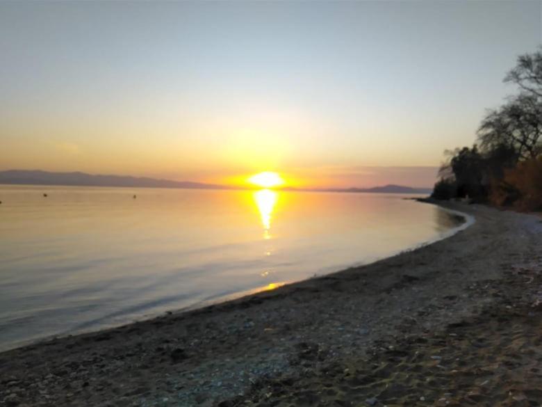 Blue Dream Koropi Pelion Milies South Pelion Apartment ภายนอก รูปภาพ